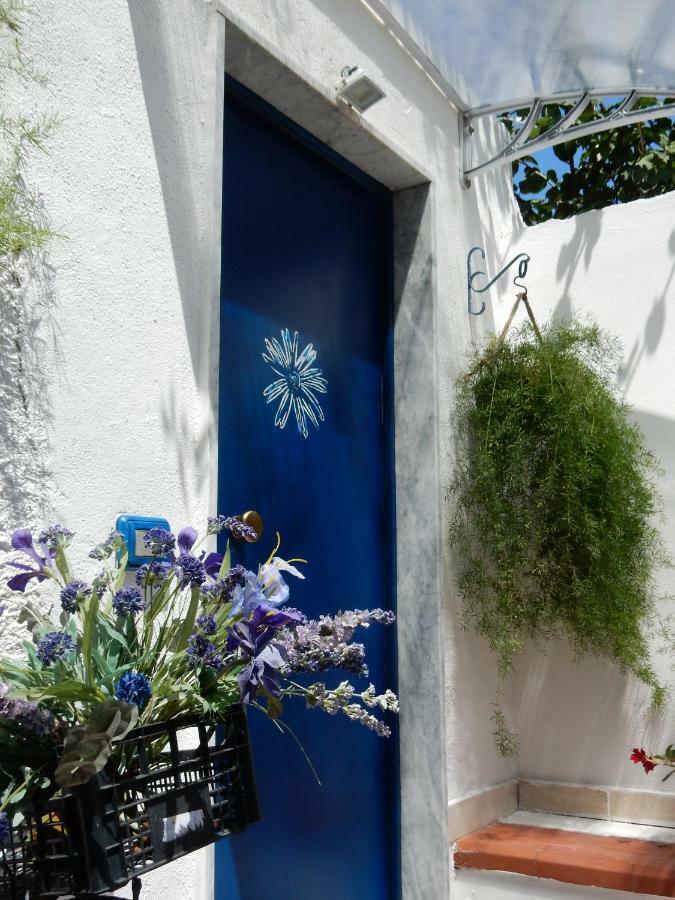 La Casetta Blu Leilighet Torre del Greco Eksteriør bilde